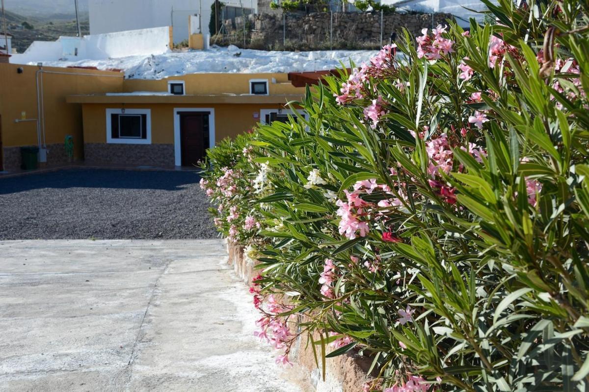 Casa Cueva Los Mansos Santa Cruz de Tenerife Bagian luar foto